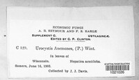 Image Associated With the Occurence